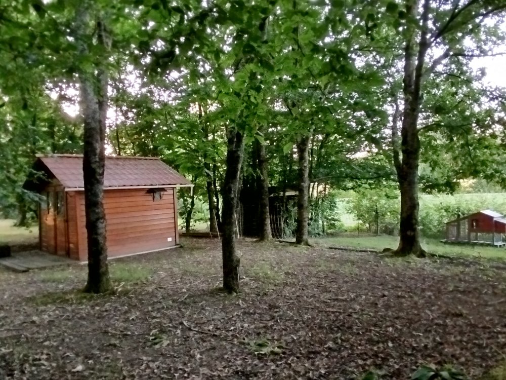 Aire camping-car  Saint-Andr-Goule-d'Oie (85250) - Photo 4